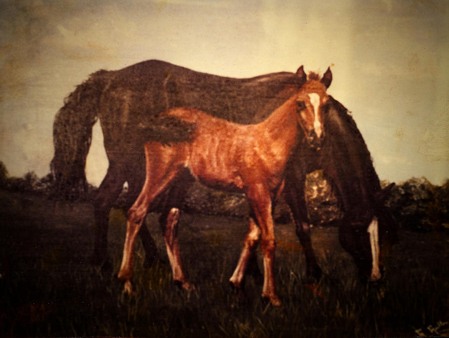 Mother and Foal Painting by Mackenzie Moulton