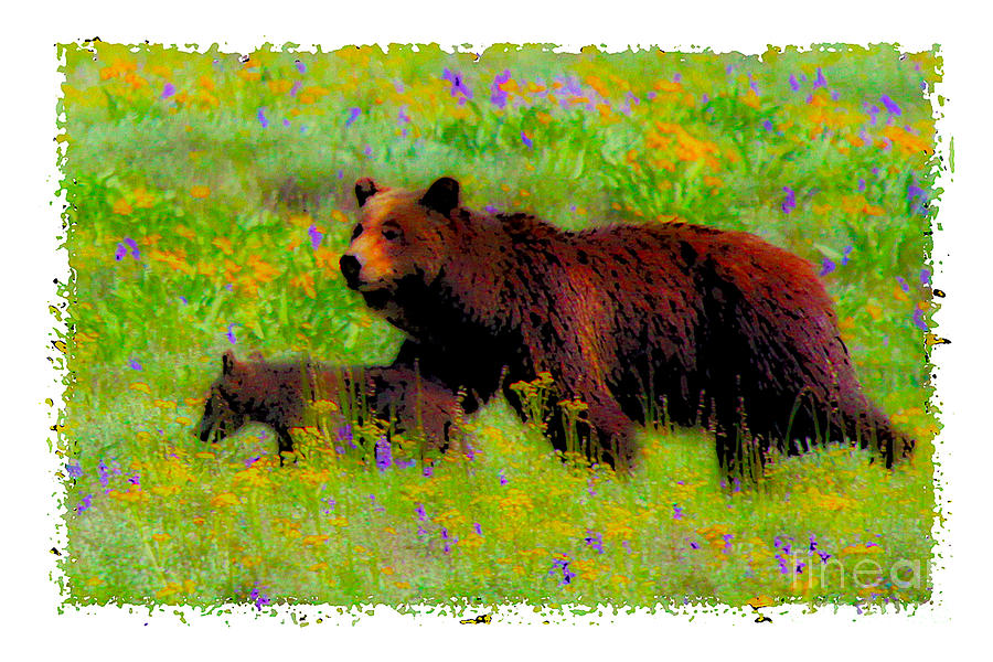 Mother Bear And Cub In Meadow Photograph by Jerry Cowart