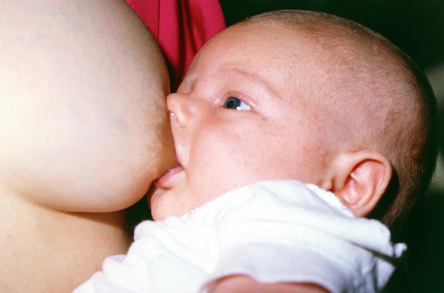 Mother Breast-feeding Her Two-month-old Son Photograph by Steve Percival/science Photo Library.