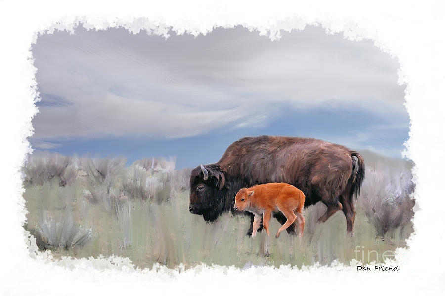 Mother buffalo with baby Photograph by Dan Friend