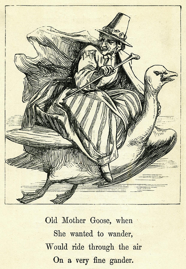 Mother Goose Flying Through The Air Drawing by Mary Evans Picture Library