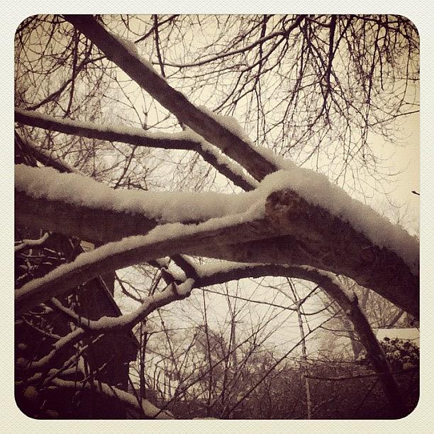 Winter Photograph - Mother Nature, Make Up Your Mind! by Melissa Yosua-Davis