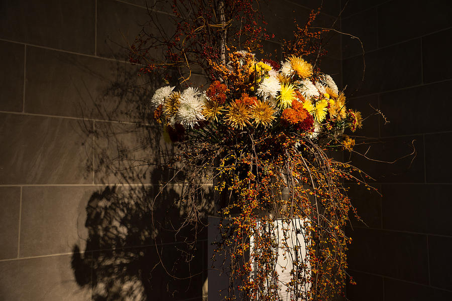 Mother Natures Vivid Autumn Colors - a Still Life Photograph by Georgia Mizuleva