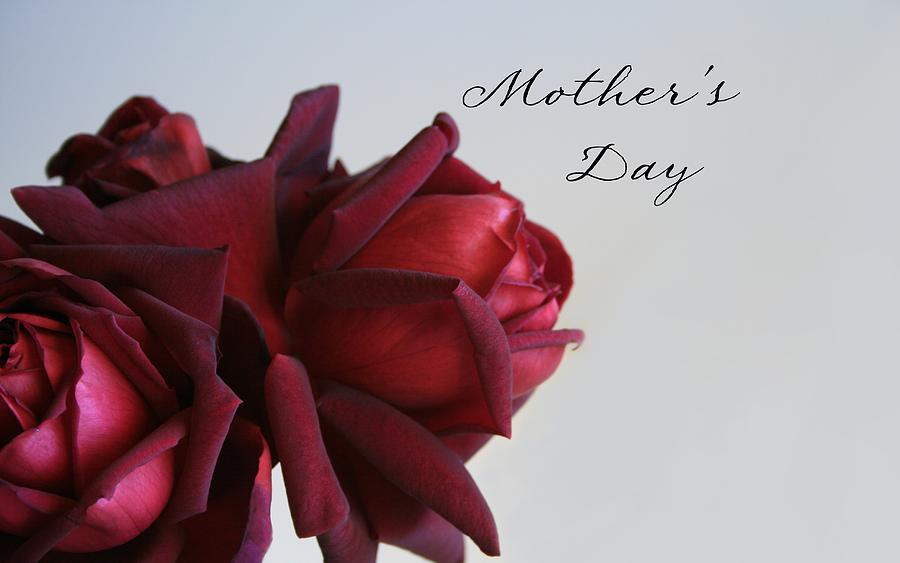 Mothers Day 2 Photograph by Marna Edwards Flavell