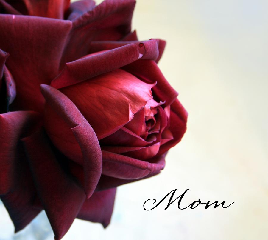 Mothers Day 5 Photograph by Marna Edwards Flavell