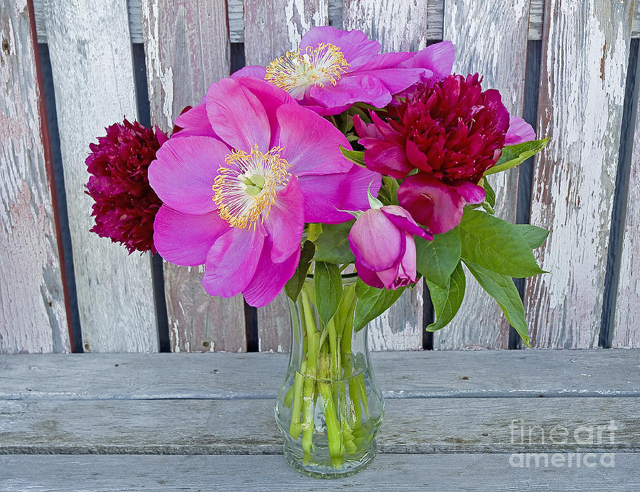 Spring Photograph - Mothers Day Bouquet by Nick Boren
