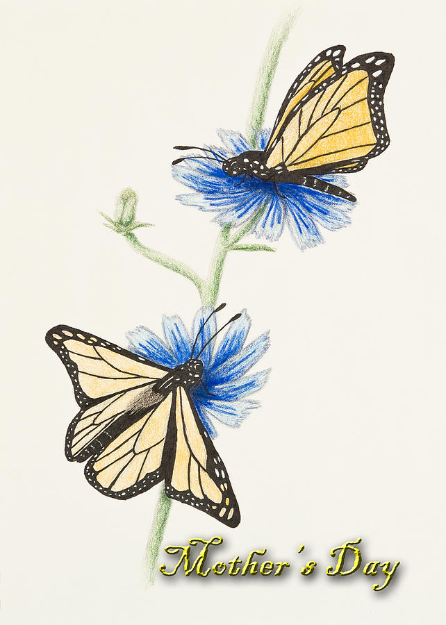 Mothers Day Drawing - Mothers Day Butterflies by Jeanette K