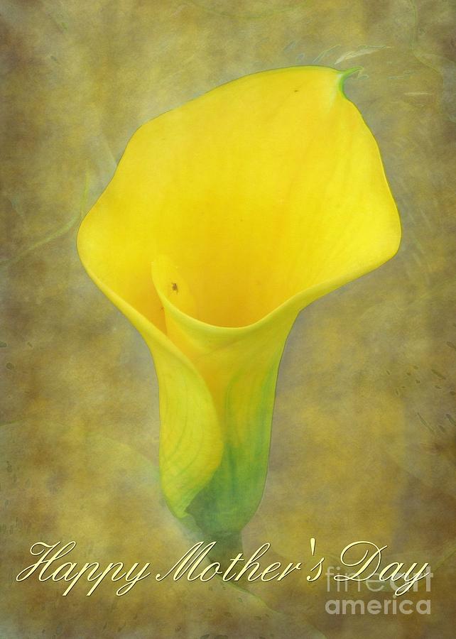 Mother's Day Calalily Digital Art by JH Designs - Fine Art America