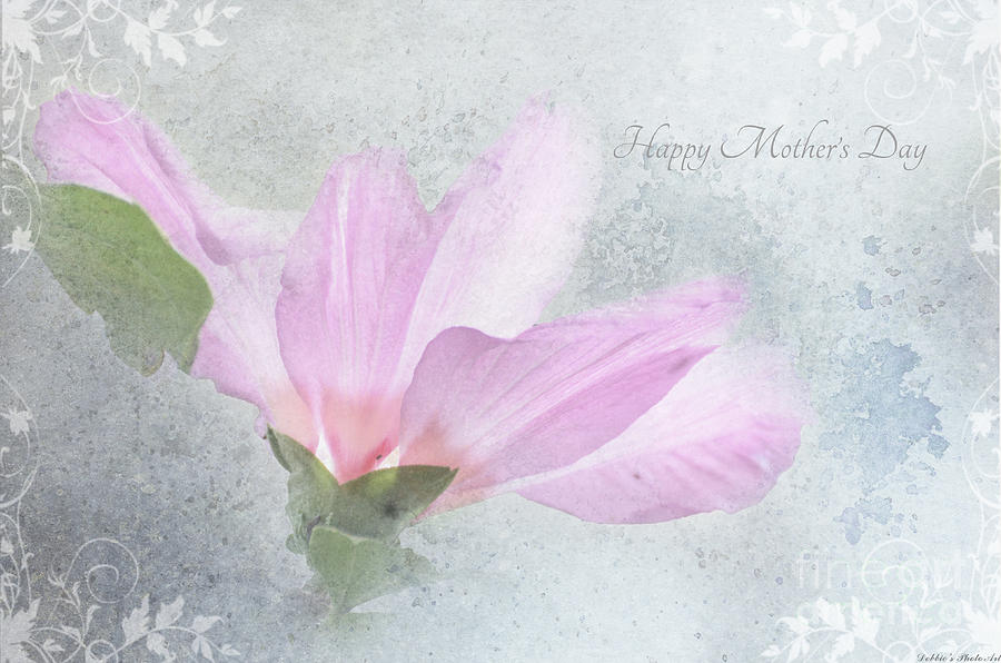 Mothers Day Card Rose of Sharon Photograph by Debbie Portwood