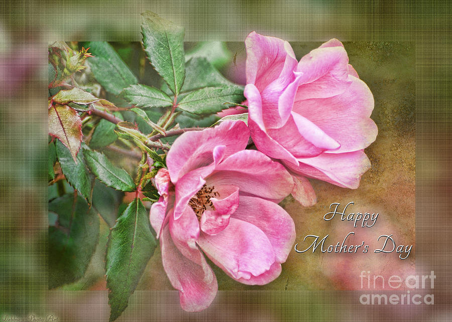 Mothers Day Card with two pink roses Photograph by Debbie Portwood