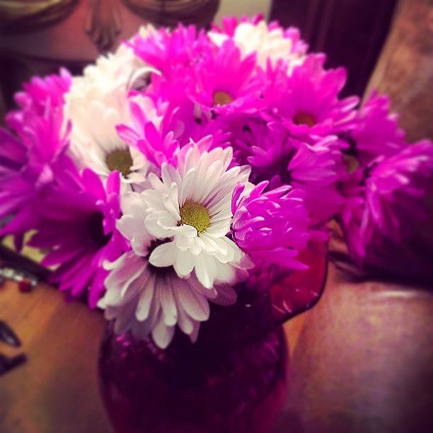 Mothers Day Daisies From My Momma! Photograph by Lauren Vineyard