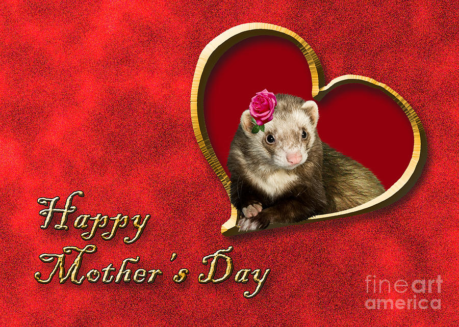 Candy Photograph - Mothers Day Ferret by Jeanette K