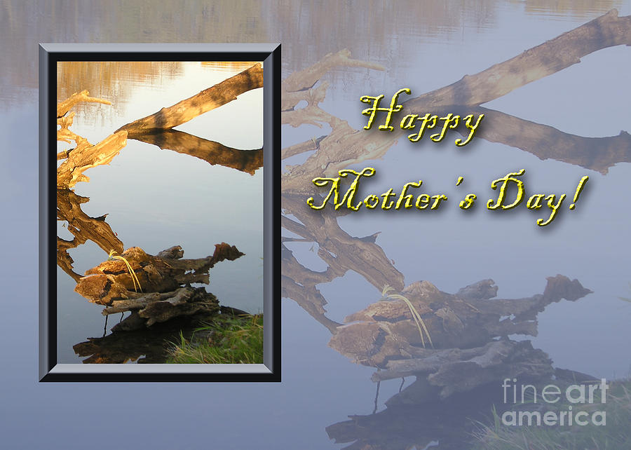 Sunset Photograph - Mothers Day Fish by Jeanette K