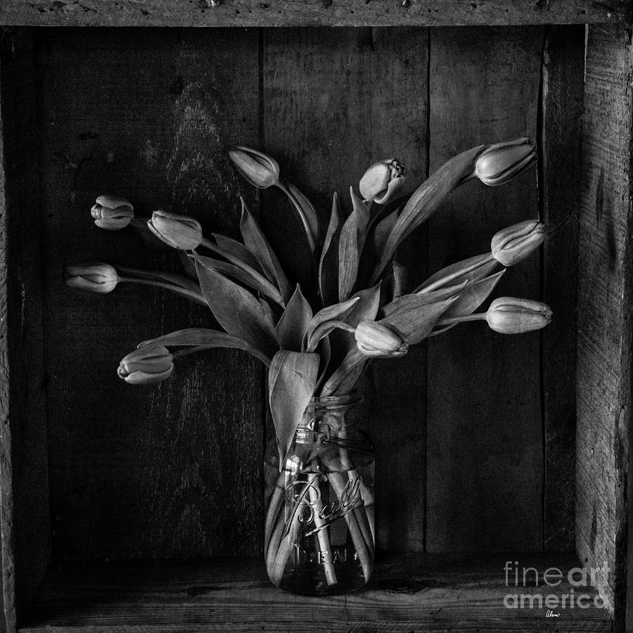 Mothers Day Flowers Photograph by Alana Ranney