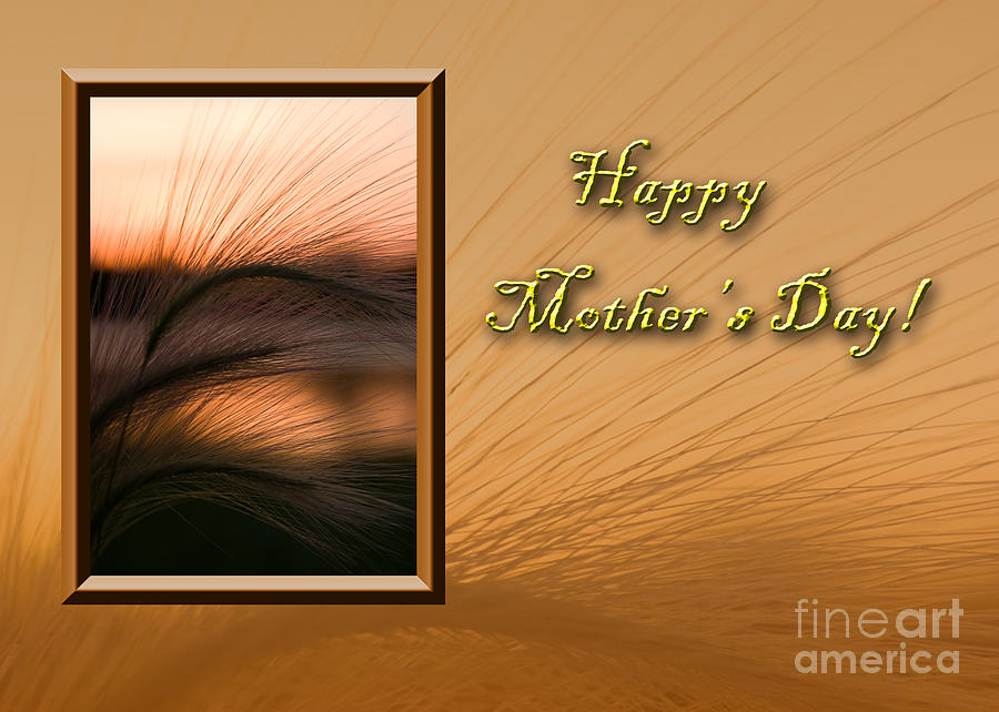 Sunset Photograph - Mothers Day Grass Sunset by Jeanette K