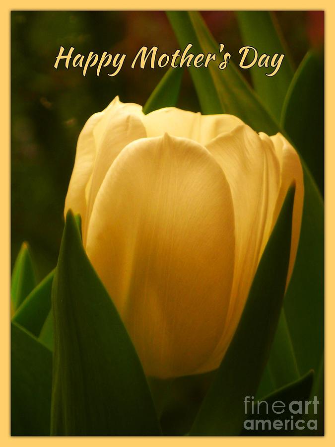 Mothers Day Greeting Yellow Tulip Photograph by Joan-Violet Stretch