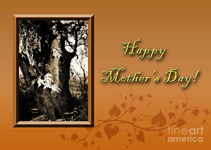 Mushroom Photograph - Mothers Day Willow Tree by Jeanette K