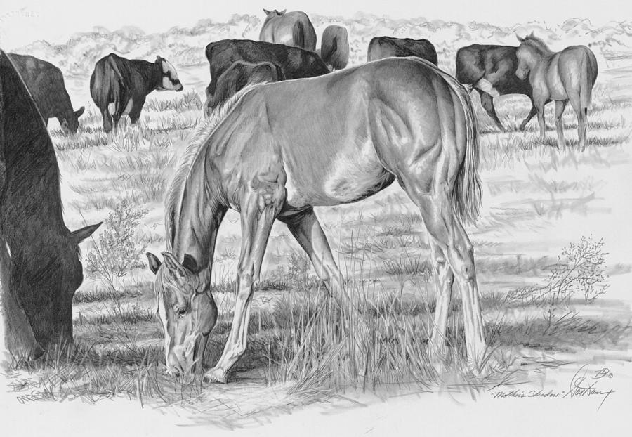 Horse Drawing - Mothers Shadow by Don Dane