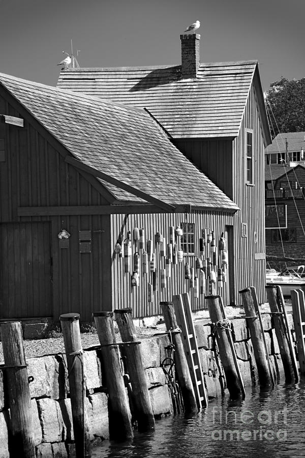 Motif Number One BW Black and White Rockport Lobster Shack Maritime Photograph by Jon Holiday