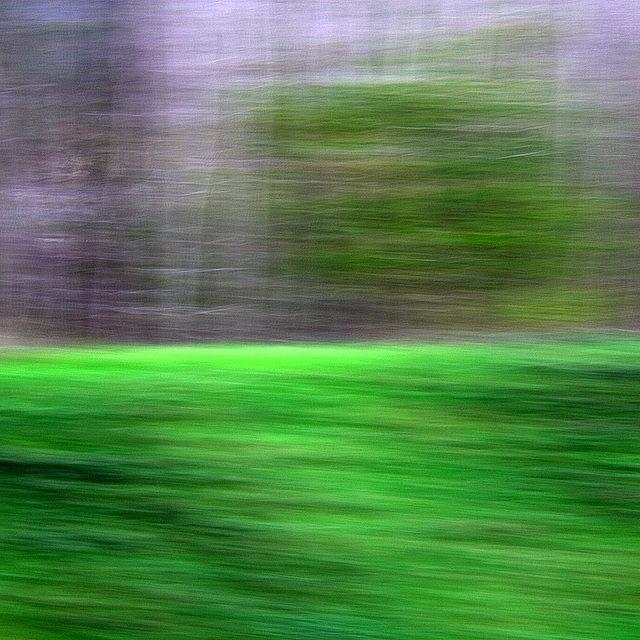 Nature Photograph - #motionblur #nature #green #tree #speed by Mariana Mincu