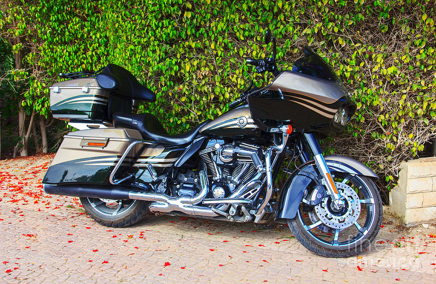 Motorcycle Harley Davidson Photograph by Mohamed Elkhamisy - Fine Art ...