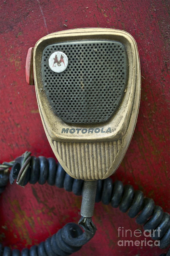 Motorola Picking Photograph by Gwyn Newcombe