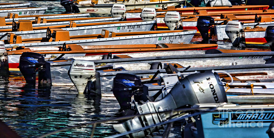 Motors and Boats in Catalina by Diana Sainz Photograph by Diana Raquel Sainz