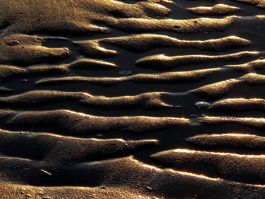 Moulded Sand Photograph by Suzy Piatt