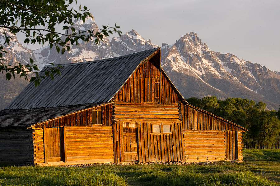 Moulton Barn At Sunrise Photograph by Gregory Maurer