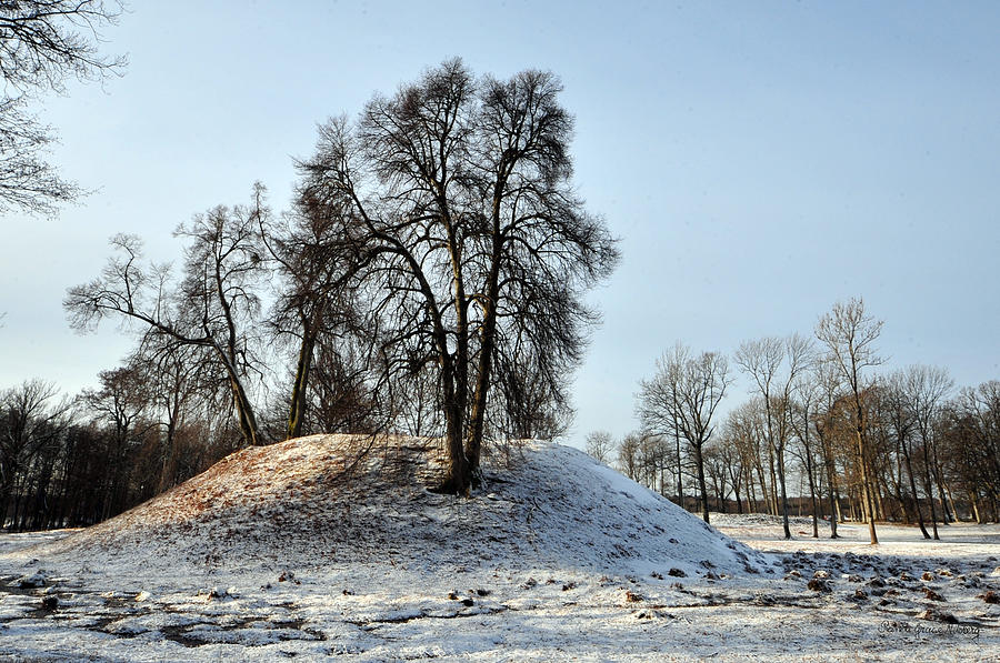 Mound of the Past Photograph by Randi Grace Nilsberg