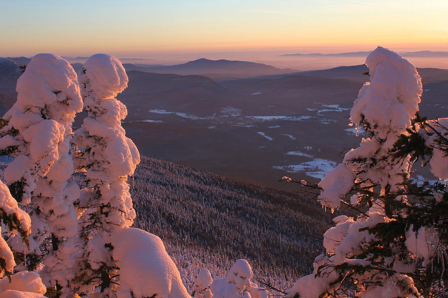 Mount Abraham Winter Sunset at Treeline Photograph by John Burk