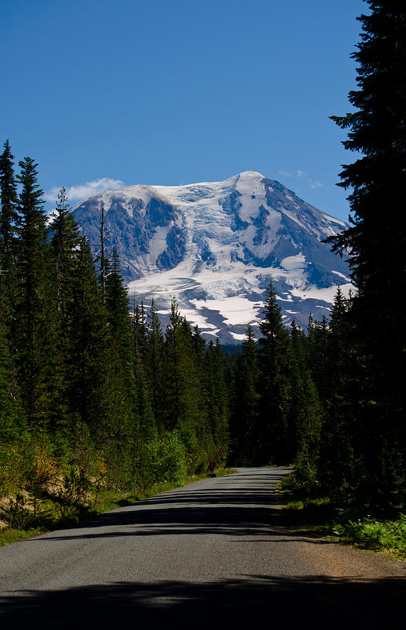 Mount Adams Full View Photograph by Tikvahs Hope
