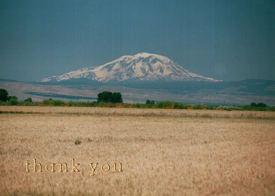 Landscape Photograph - Mount Adams Washington and a reminder to utter the words Thank You. by Raenell Ochampaugh