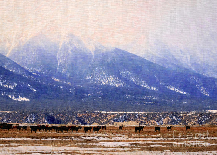 Nature Photograph - Mount Antero Cows in Paint by Janice Pariza