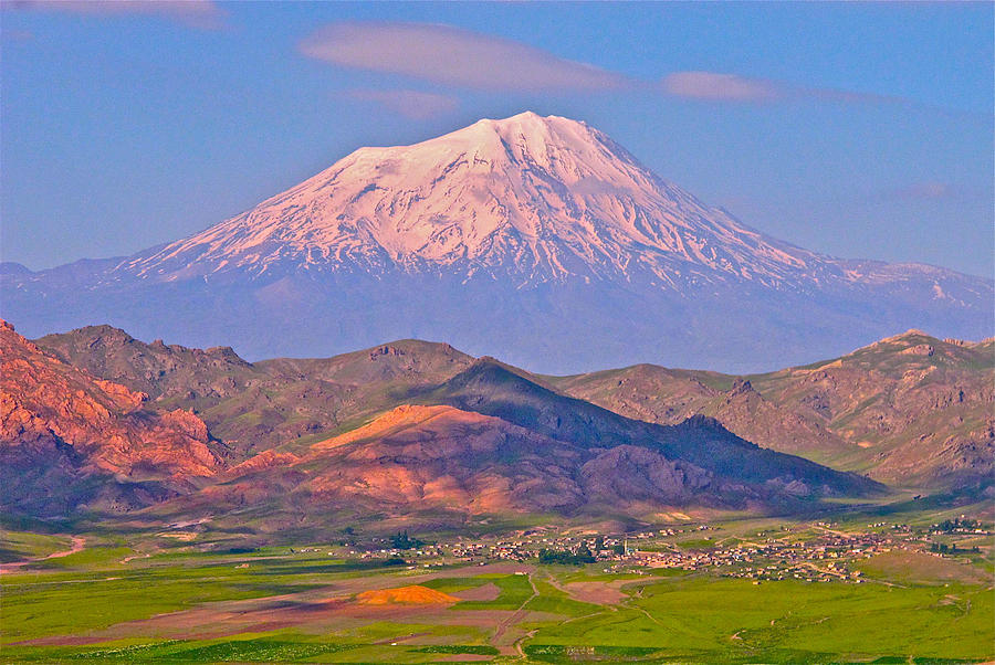 Армения гора Арарат маки