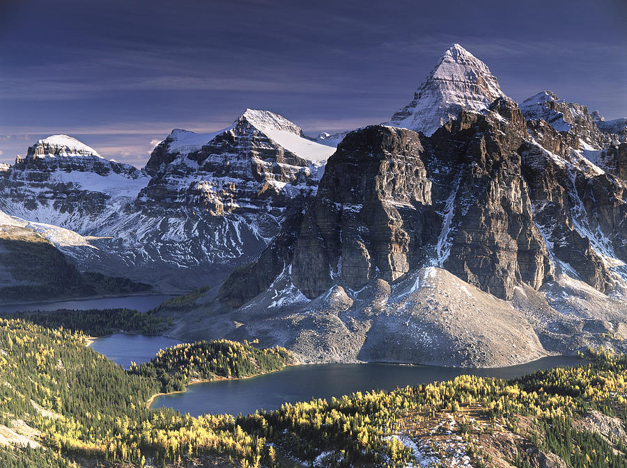 Assiniboine Photograph - Mount Assiniboine in the fall by Richard Berry Assiniboine Photograph - Mount Assiniboine in the fall by Richard Berry