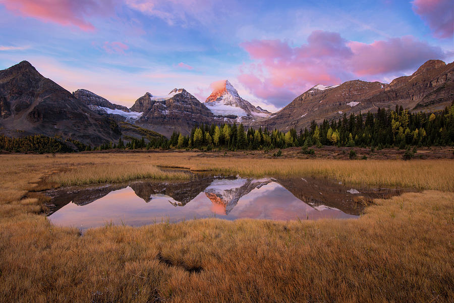 Mount Assiniboine Sunrise Photograph by Piriya Photography