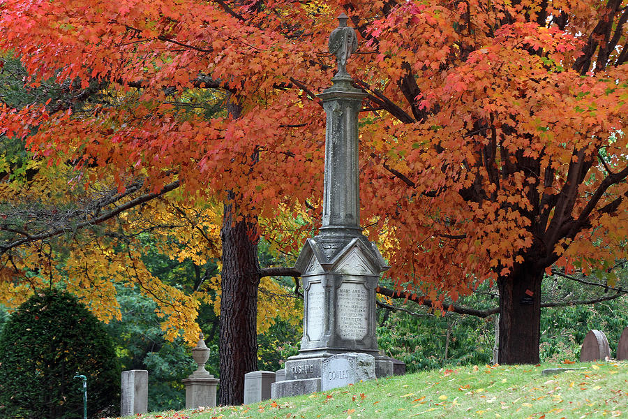 Mount Auburn Cemetery Photograph by Juergen Roth