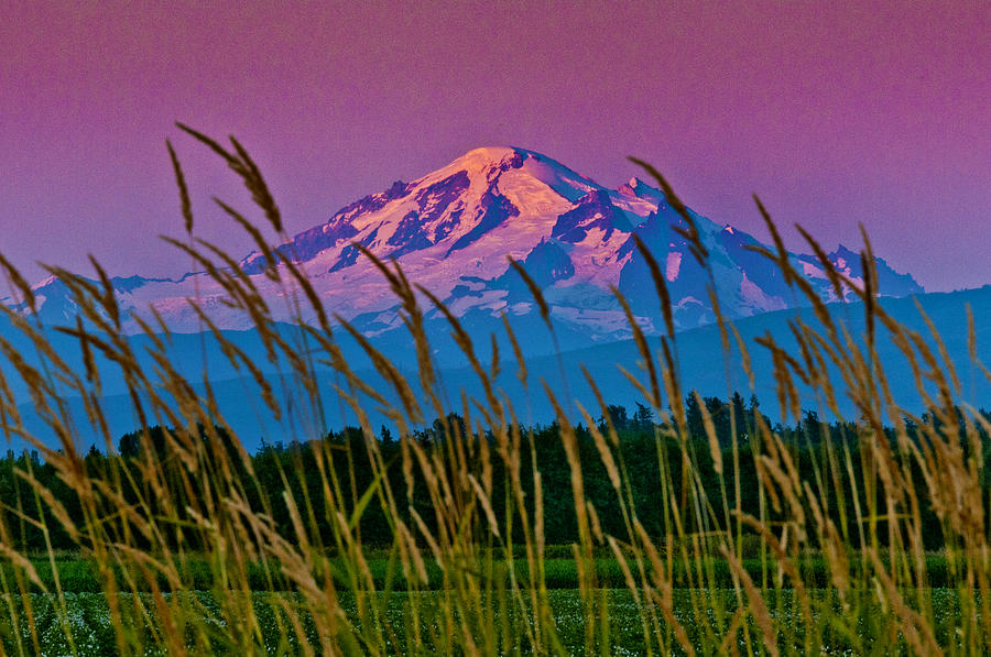 Mountain Photograph - Mount Baker Alpenglow by Paul Conrad