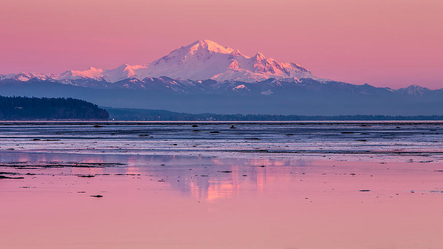 Mount Baker at sunset from Boundary Bay Photograph by Pierre Leclerc Photography