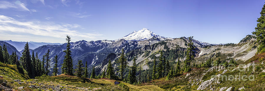 Summer Photograph - Mount Baker by Frank Pali