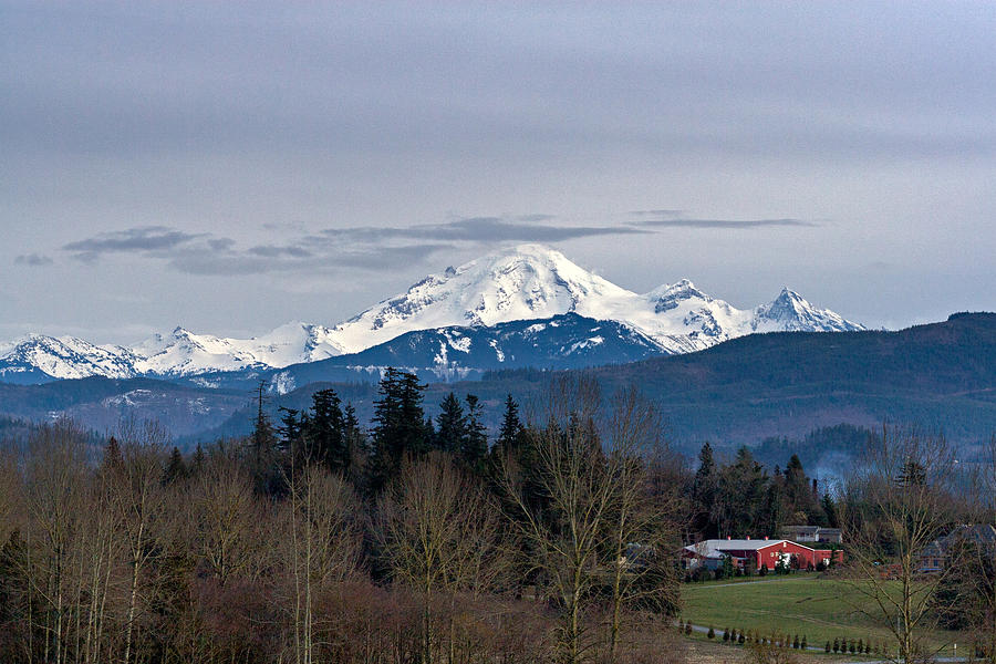 Mount Baker from Abbotsford Photograph by Michael Russell
