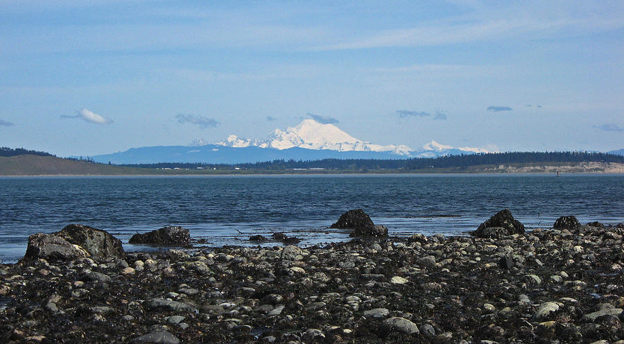Mount Baker from Port Townsend Photograph by Laurie Stewart
