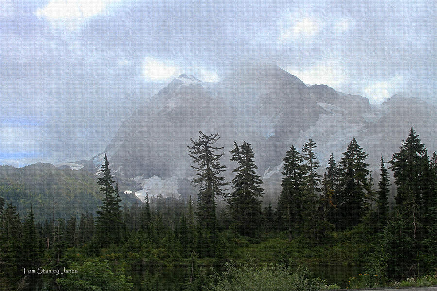 Mount Baker In The Fog With A Few Fir Trees Photograph by Tom Janca