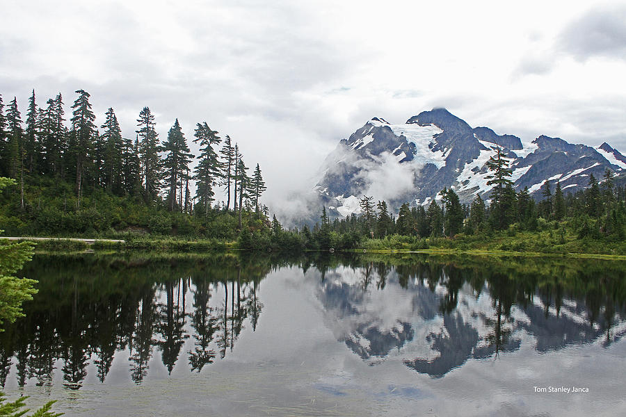 Mount Baker- Lake- Fir Trees And  Fog Photograph by Tom Janca