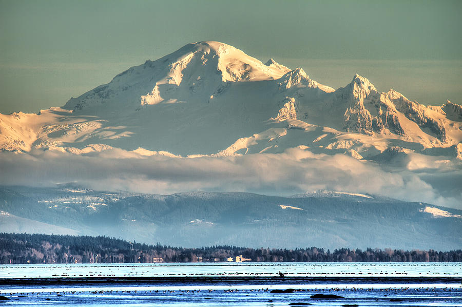 Nature Photograph - Mount Baker Washington by Pierre Leclerc Photography