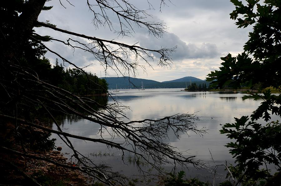 Mount Desert Island Bar Harbor Maine Photograph by Toby McGuire Fine