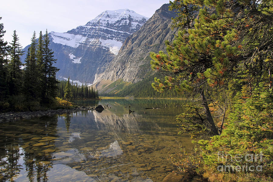 Mount Edith Cavell Reflection Photograph by Teresa Zieba