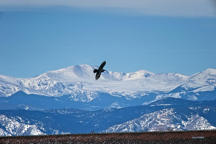 Mount Evans View Photograph by Stephen Johnson