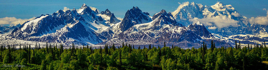 Mount Foraker Photograph by Andrew Matwijec